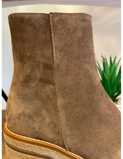 BOTIN ANTE ALPE 2